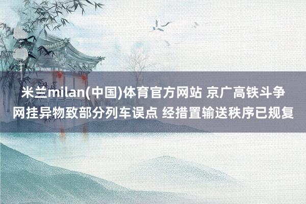 米兰milan(中国)体育官方网站 京广高铁斗争网挂异物致部分列车误点 经措置输送秩序已规复