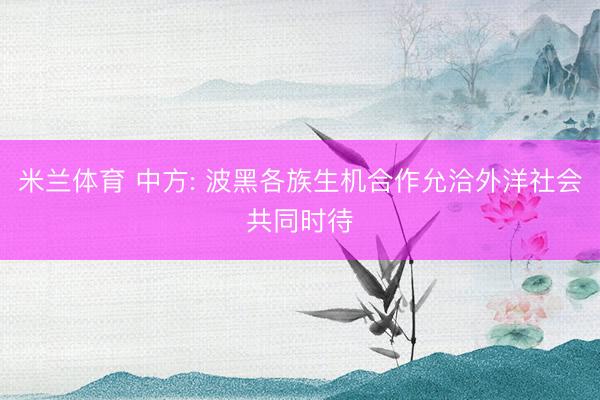 米兰体育 中方: 波黑各族生机合作允洽外洋社会共同时待