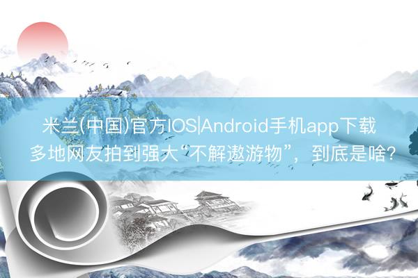 米兰(中国)官方IOS|Android手机app下载 多地网友拍到强大“不解遨游物”，到底是啥？