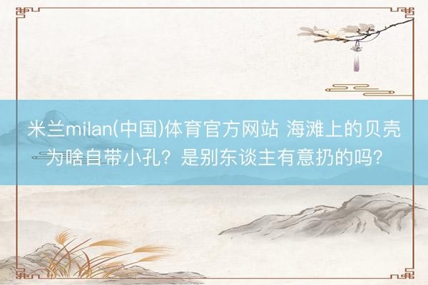 米兰milan(中国)体育官方网站 海滩上的贝壳为啥自带小孔？是别东谈主有意扔的吗？