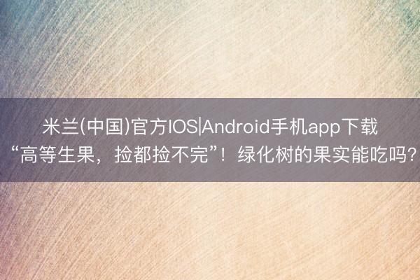 米兰(中国)官方IOS|Android手机app下载 “高等生果，捡都捡不完”！绿化树的果实能吃吗？